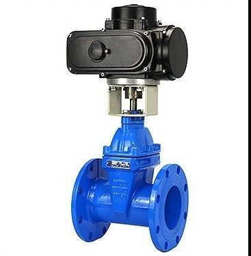 DN150 PN16 WCB NKZ961H Elektrische Flansche Vakuum-Gatterventil für individuelle Anforderungen
