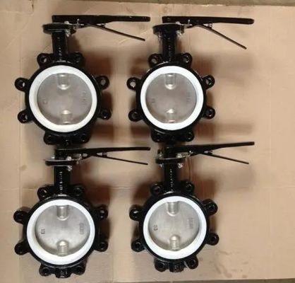 Anpassungsfähige DN600 DI CI-Körper SS-Scheibe Lug Abwasser Schmetterlingsventil für verschiedene Industriezweige