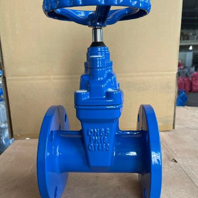 OEM-Unterstützung CI/DI/WCB/SS Schmiede-Gatterventil mit individuellem Design