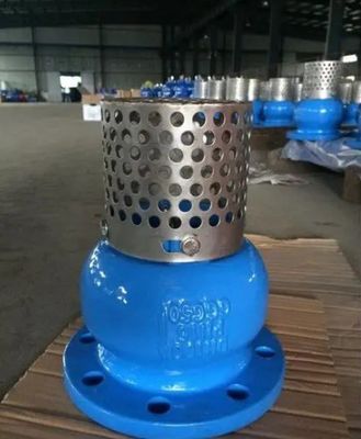 Kundenspezifischer Service WCB Gusseisen-Flangen-Fussventil für eine dauerhafte und flüssige Steuerung