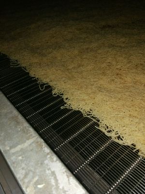 Votator Gelatine Extrusion in Haut Knochen Fisch Gelatine Fertigungssystem