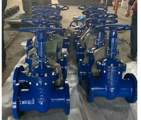 3 Zoll CF8 Edelstahl Flansch-Gatterventil mit Y-Typ-Strichter und manueller Steuerung