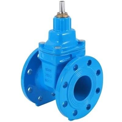 DN80 DN200 Y-Typ-Säuberer für HDPE-Rohre PN16