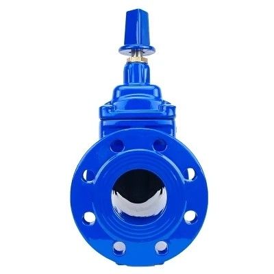 DN80 DN200 Y-Typ-Säuberer für HDPE-Rohre PN16