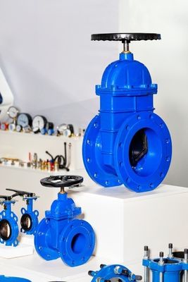 Y-Typ-Struktur ANSI/API/ASTM/ASME/WCB Flansche Kugelkugel-Check-Schmetterlings-Gatterventil