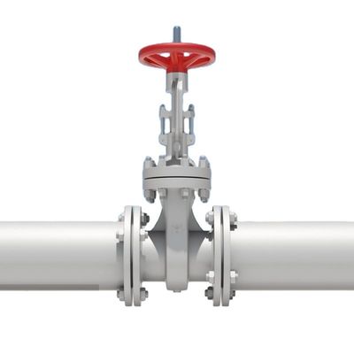 OEM Port Größe kundenspezifischer Service Pn16 Gusseisen Duktile Eisen Flansche Schwingen Checkventil