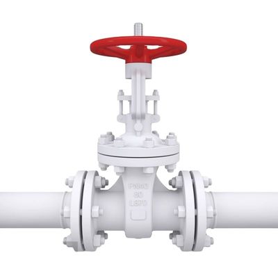 DN40-DN65 Universelles Doppelkugel-Automatikluftablassventil für Wasser- oder Bewässerungsabflüsse