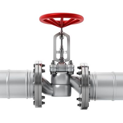 Vollständige Bescheinigung 4 Zoll DN100 Duktile Eisen Y Strainer Abflussventil für glatten Fluss