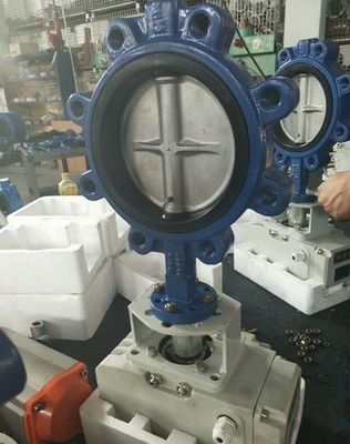 Kundenspezifische Unterstützung ODM Manuelle Edelstahl-Wurm-Gear Lug Schmetterling Sanitärventil