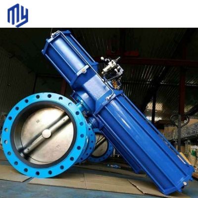 Individuelle Pneumatische Aktoren Schmetterlingsventile und Einbauten für individuelle Anforderungen