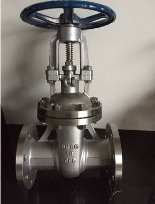 CF8 Edelstahl-Flangenschlussventil für die Filtration von industriellen Zählgeräten des Typs Y