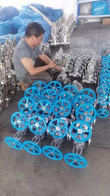 CF8 Edelstahl-Flangenschlussventil für die Filtration von industriellen Zählgeräten des Typs Y