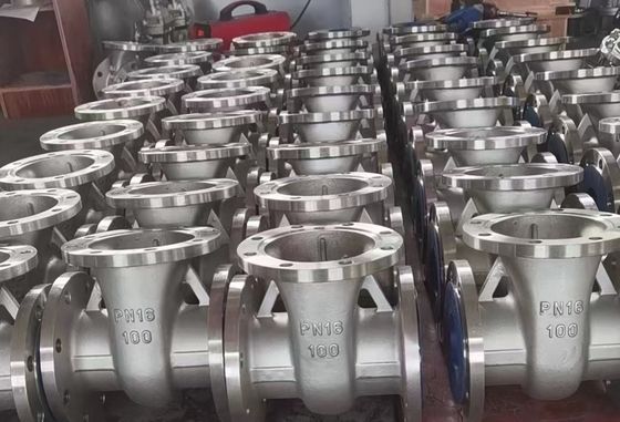 CF8 Edelstahl-Flangenschlussventil für die Filtration von industriellen Zählgeräten des Typs Y
