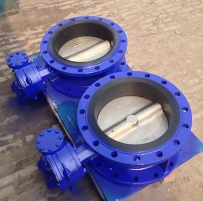 Wassersystem Bestseller Doppelflächige Verbindung Schmetterlingsventil mit austauschbarem Sitz