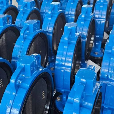 Zusammengepasste, zartes Eisen, widerstandsfähiges Sitzblatt/Lug-Typ Schmetterlingsventil OEM-Portgröße
