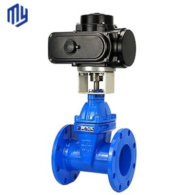DIN-Standard PN16-Wassertorventil mit Gummi-Wegel und GGG50-Zollkörper