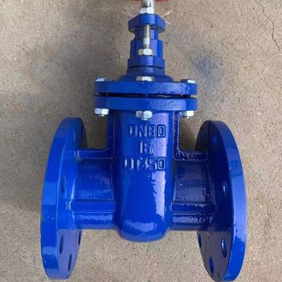 Widerstandsfähiger mitteltemperaturartiger Y-Strainer aus Gusseisen, Messingdichtung, Metall-Sitzgatterventil