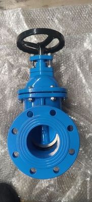 Widerstandsfähiger mitteltemperaturartiger Y-Strainer aus Gusseisen, Messingdichtung, Metall-Sitzgatterventil