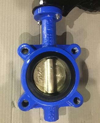 Anpassungsfähige DN600 DI CI-Körper SS-Scheibe Lug Abwasser Schmetterlingsventil für verschiedene Industriezweige