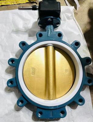 Niedertemperatur-Guss-Waffe Lug-Typ Schmetterlingsventil-Distributor