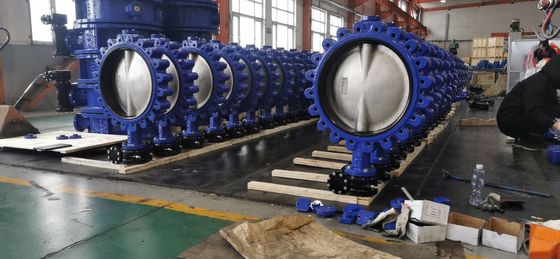 Wasseranwendungen Schmetterlingsventile AWWA Wafer Lug Doppelflächen C954 C950 C955 Scheibe