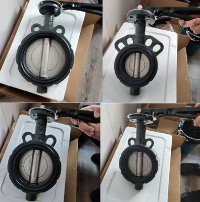 Korea Japan Standard JIS 10K DK Schmetterlingsventil mit Hydraulikfunktion