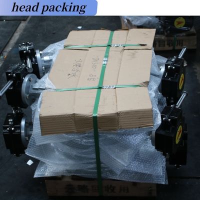 Effizient gestaltete Wafer-Lug-Schmetterlingsventile mit EPDM-PTFE-PFA-Gummi