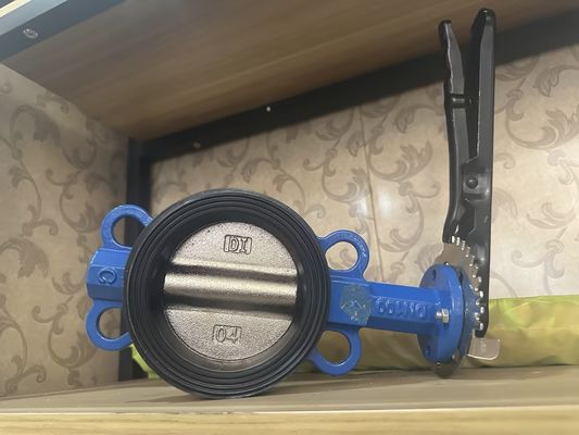 1 Zoll Sanitär-Edelstahl-Pneumatisches Schmetterlingsventil mit individueller Struktur