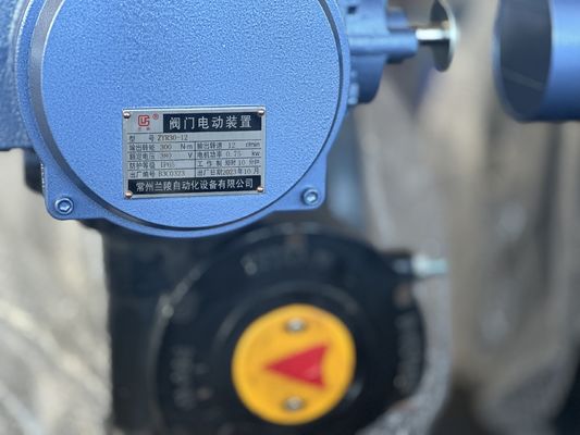 Kundenspezifischer Service SS304 Edelstahl Sanitäre Schmetterlingsventil mit Handhebel
