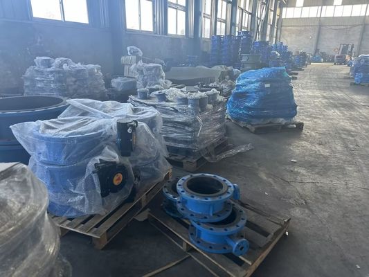 OEM Port Größe Gusseisen Erweiterung Schmetterlingsventil mit unterstützendem Kundendienst