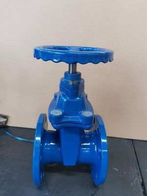 Wassermedien DN600 PPR Einbaugitter mit OEM-Flexibilität angeboten