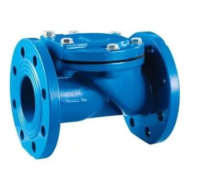 Durchschnittliche Temperatur DN100 Pn16 Asin Gusseisen Gummi Flapper Checkventil für OEM-Support