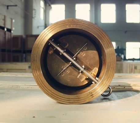 Edelstahl-/Guss-/Gussstahl-Doppelplatten-Scheckventil mit Membranstruktur