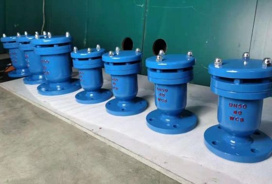 DI Wafer Dual Plate Check Valve für individuellen Service in industriellen Anwendungen