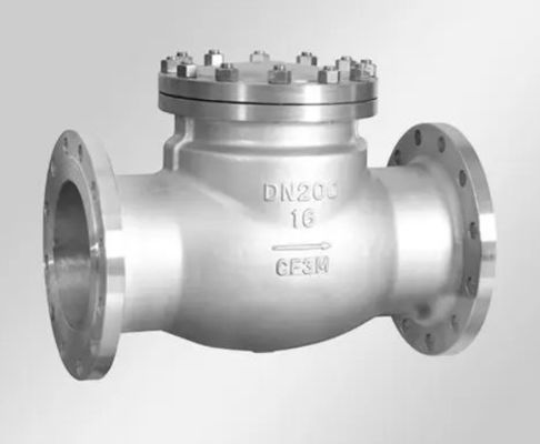 Kundenspezifische ODM-Unterstützung für Schwing-Flangen-Checkventile und Flansche