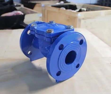 Edelstahlflansche Düctil EPDM-Gasket-Swing-Nicht-Rückkehr-Eiselflex-Scheckventil für Wasser