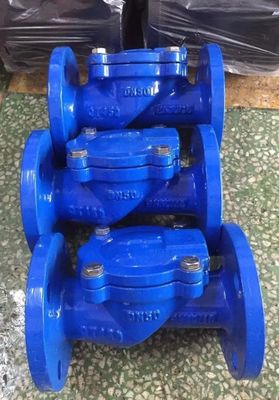 Edelstahlflansche Düctil EPDM-Gasket-Swing-Nicht-Rückkehr-Eiselflex-Scheckventil für Wasser