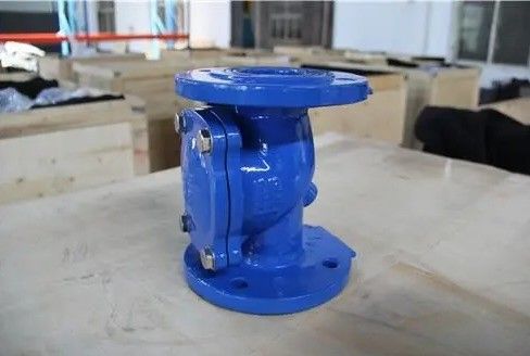 Edelstahlflansche Düctil EPDM-Gasket-Swing-Nicht-Rückkehr-Eiselflex-Scheckventil für Wasser