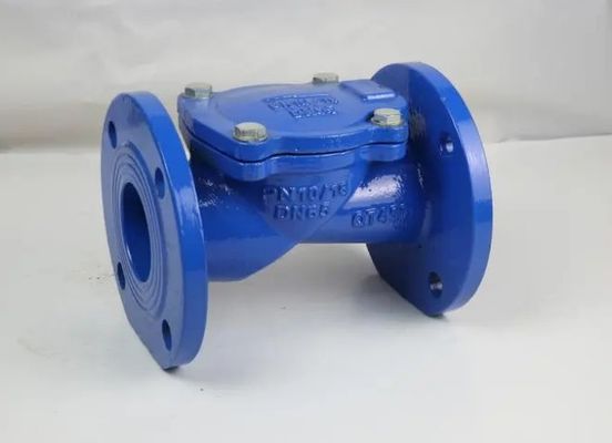 Edelstahlflansche Düctil EPDM-Gasket-Swing-Nicht-Rückkehr-Eiselflex-Scheckventil für Wasser