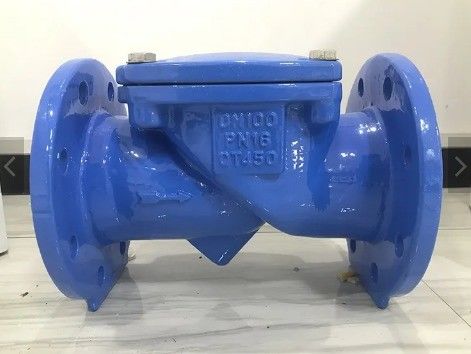 Edelstahlflansche Düctil EPDM-Gasket-Swing-Nicht-Rückkehr-Eiselflex-Scheckventil für Wasser