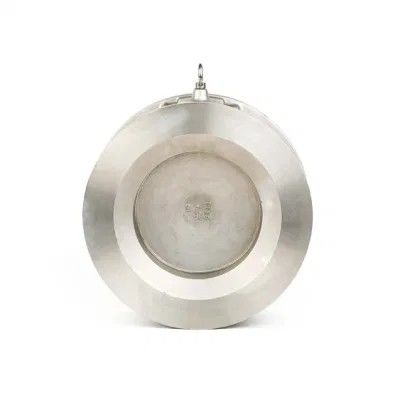 Wassermedien DN 50 Waferhebe Einplatten-Swing-Checkventil Edelstahlflansche Pn25