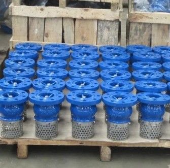 Kundenspezifischer Service WCB Gusseisen-Flangen-Fussventil für eine dauerhafte und flüssige Steuerung
